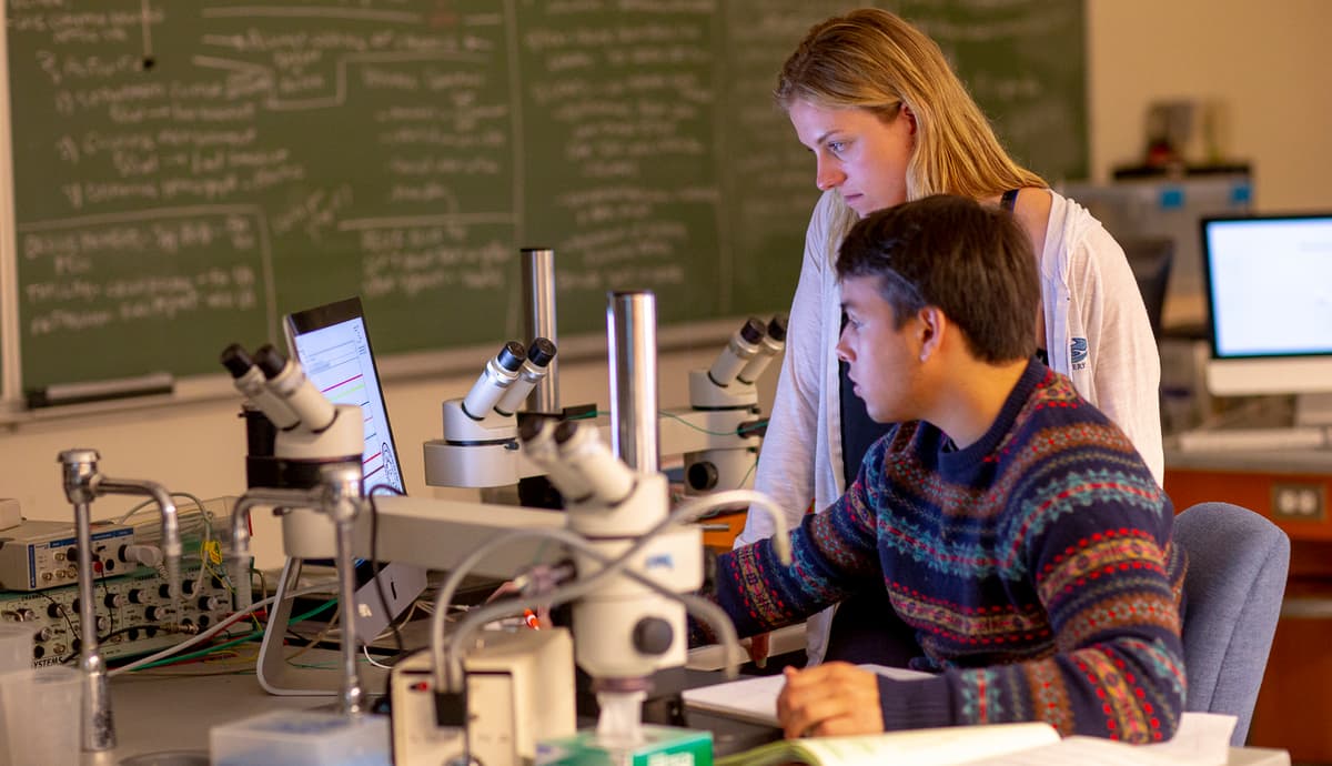 How to Turn Your Research into a Portfolio Piece: Showcasing Academic Work Professionally