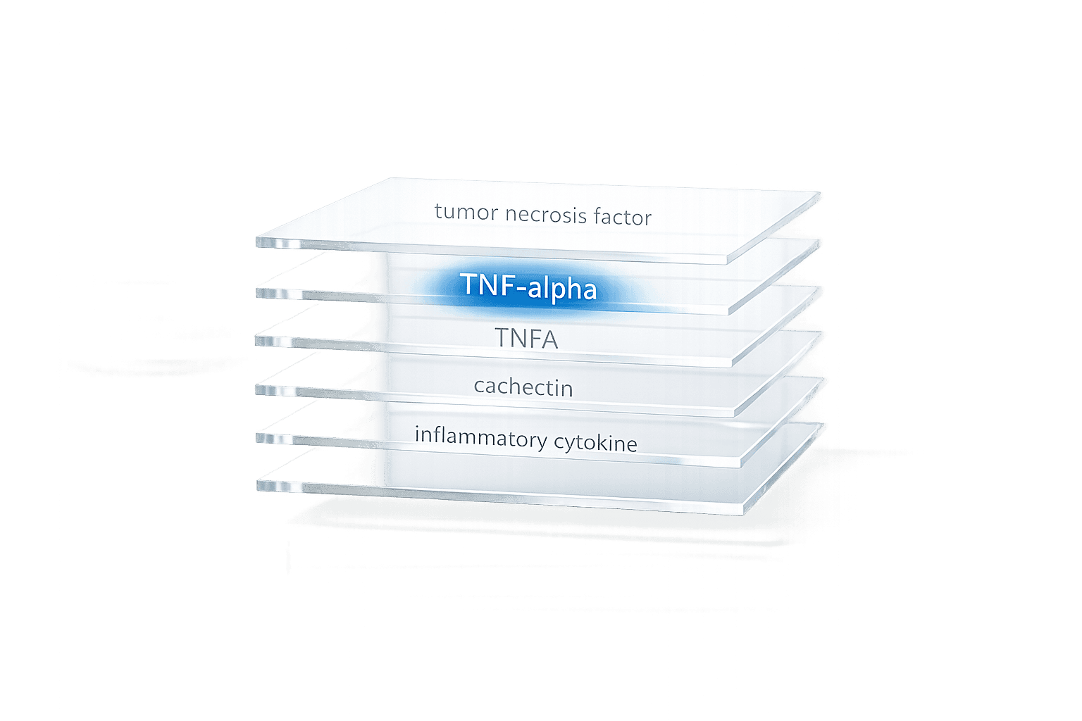Query Expansion for Biomedical Research: A Guide